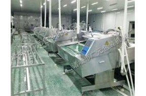 真空包裝機(jī)按基本用途可以分為哪幾類(lèi)？