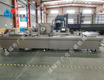 拉伸膜全自動(dòng)真空包裝機(jī)（DZDL-420型）